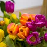 Prima i fiori che andavano per la maggiore erano gladioli e garofani � spiega il titolare �. Oggi invece vanno molto di moda i tulipani dalla forma a turbante...